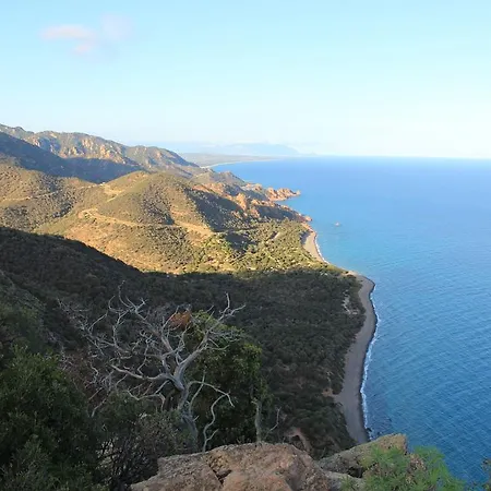 مكان تخييم Villaggio Tesonis